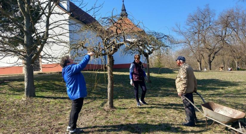 Így hálálták meg a természet ajándékát a Kecskeméti Arborétum látogatói