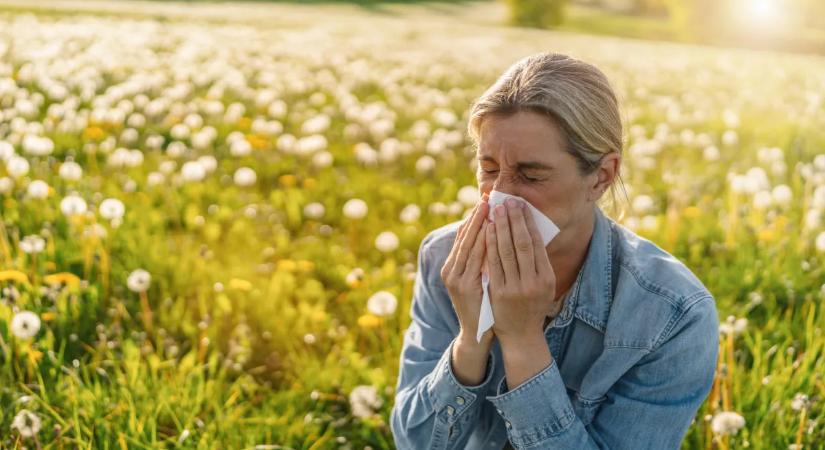 Hamarabb jön az allergiaszezon, a szakértők szerint már most lépni kell