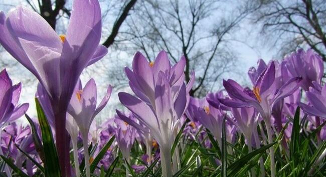 Itt a friss időjárás-előrejelzés szerdára - Mutatjuk, mi várható