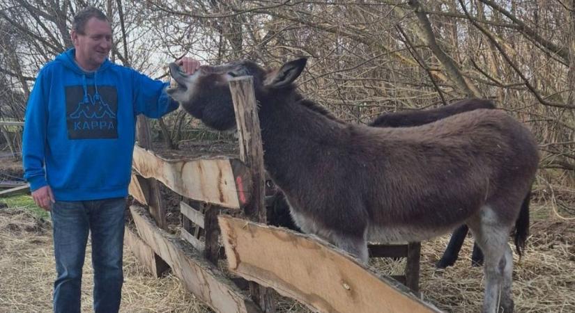 Jó hírt közölt a szamárfarm tulajdonosa, bár sok mindent újra kell tanulnia