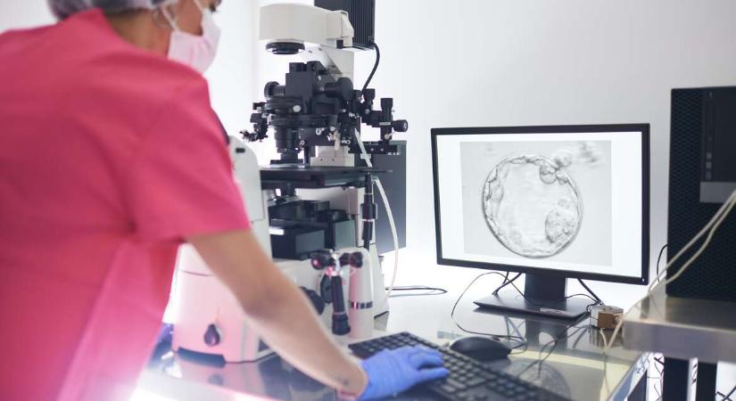 Kiderült, melyik lombikintézet mennyire eredményes: Jelentős különbségek látszanak