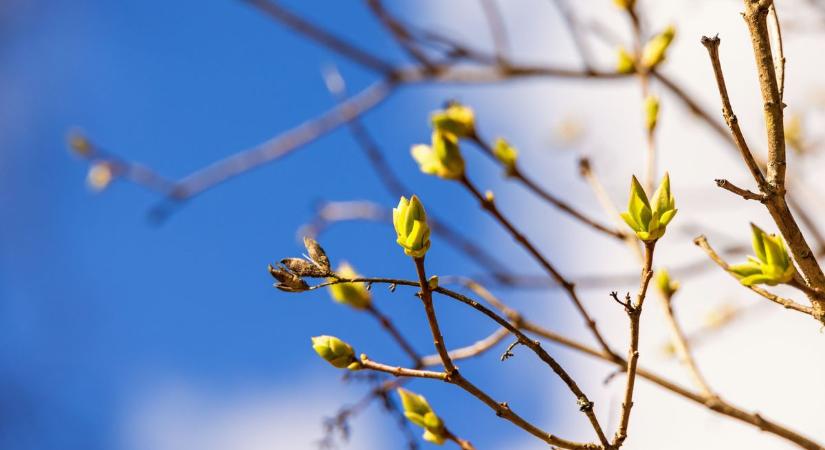 Felhősebb, de tavaszias időjárásban lesz részünk szerdán