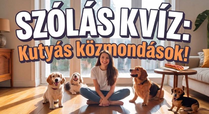 Kvíz: Tíz kutyás szólás és közmondás ami feladja a leckét!