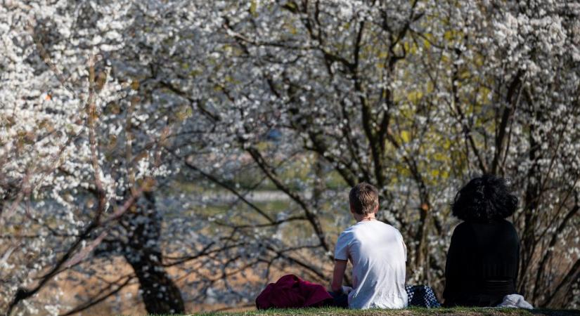 Kvíz: Mennyire tudod értelmezni a tavaszi időjárást a népi jóslatok mentén?