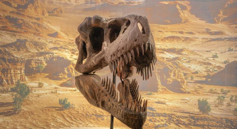 A Netflix titkos fegyvere lehet ez a négyrészes sorozat