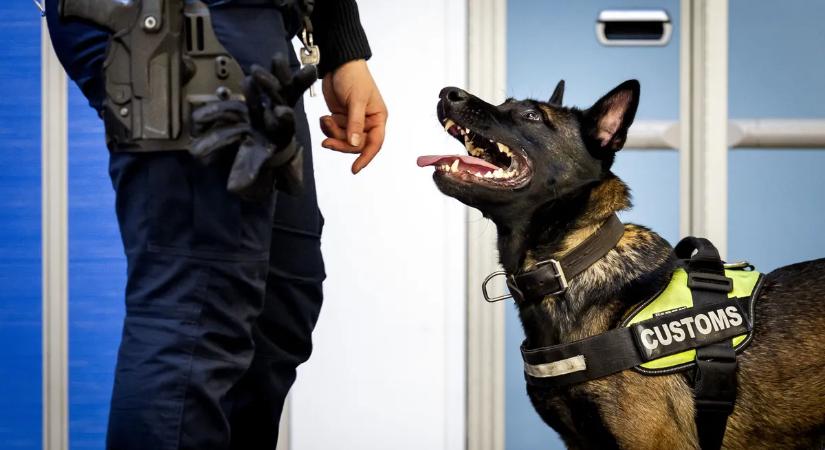 Európa úszik a drogban, Belgium pedig lassan narkóállammá válik