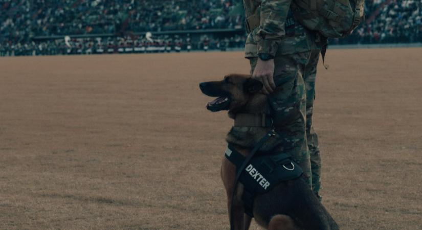 Hősiesség és tragédia: életét adta egy kutyáért a fiatal vadászpilóta