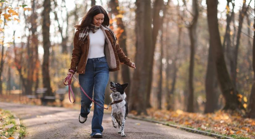 Nagy változás jön a gazdik életében: így működik majd az új rendszer