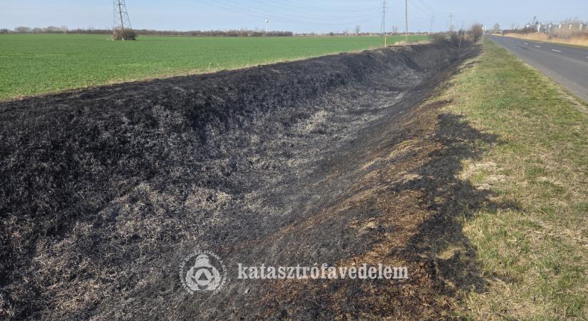 Harmincöt hektár égett le Egyeken