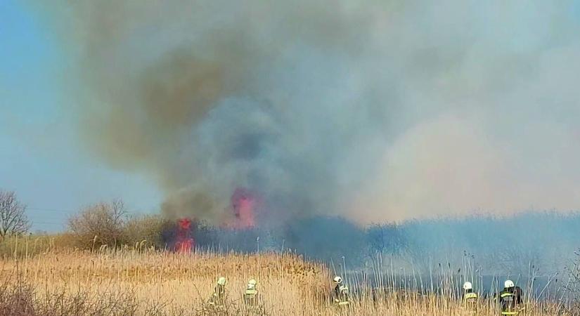 Leégett 35 hektár Egyeknél