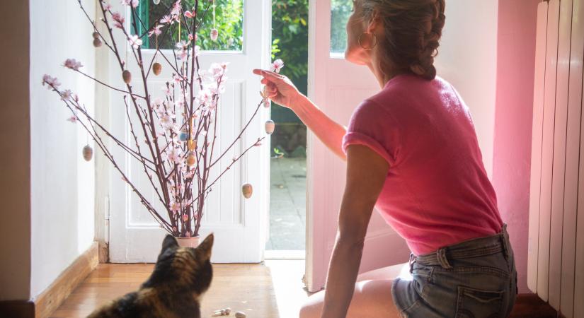 Ezért lesz aktívabb a cicád tavasszal