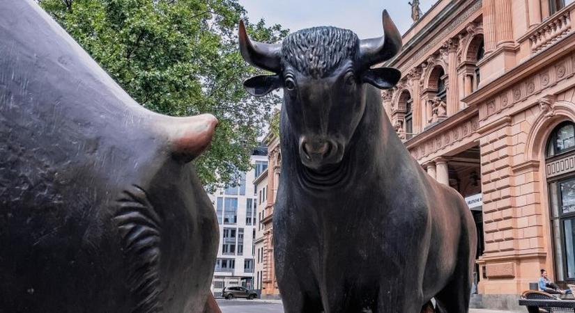 Dörmögni kezdett a medve a parketten