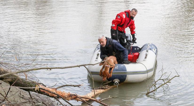 A víz alól is kiszagolják: tetemkereső kutyákkal dolgozik a nyírségi rendőr