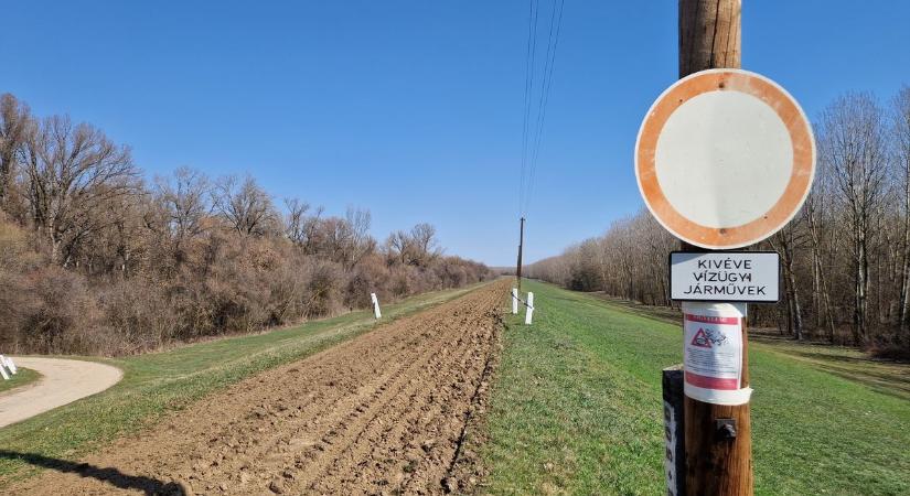Mi történt a Tisza-gátján Szentesnél? Sokakat meglepett a látvány