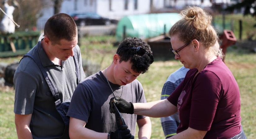 Ebben a különleges kaposvári kertben a növényekkel együtt fejlődnek a gyerekek