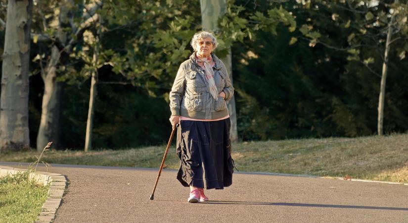 Ennyivel kap kevesebbet egy magyar nyugdíjas az osztrákhoz képest