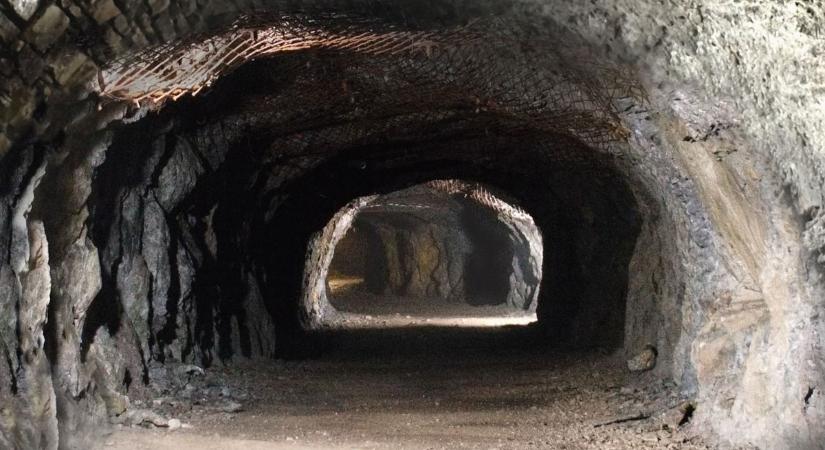 Kábítószert termesztett a férfi, Győrben döntenek ügyében