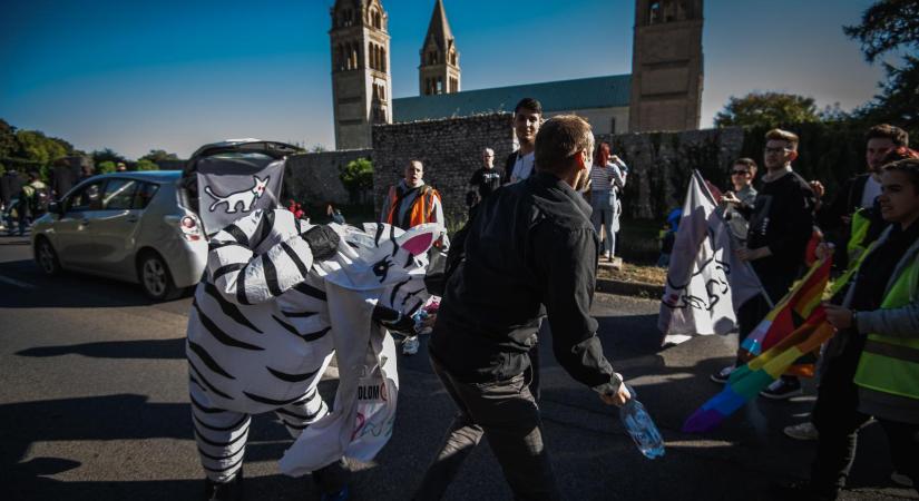 Egy év szabadságvesztésre ítélték a férfit, aki a pécsi Pride-on rátámadt a táncoló zebrára