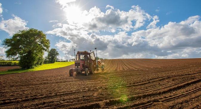 Tavaszi előrejelzés: jön az eső, marad a fagyveszély