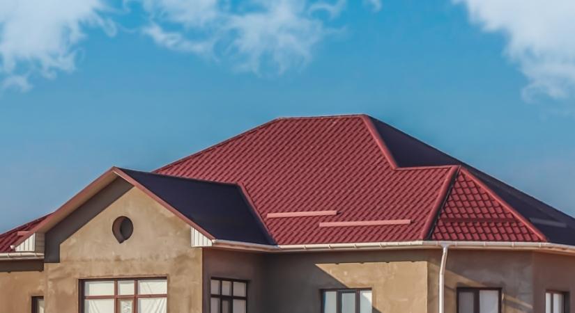 Stabil növekedés turbulens piacon: portfólió-bővítéssel és technológiai fejlesztésekkel erősít a Terrán