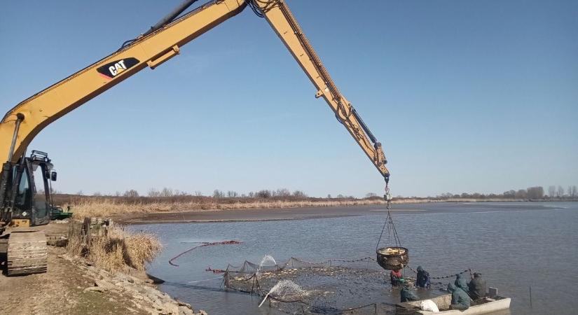 Van egy tuti tippünk! Most érdemes pecázni: 12 tonna pontyot telepítettek a vármegye vizeibe
