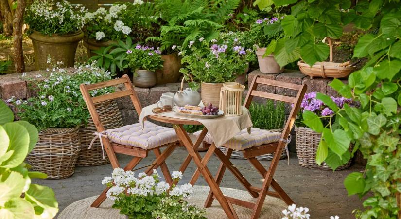 Világító virágok és fekete arany: fedezd fel a jövő kertjét a 2026-os GardenExpón