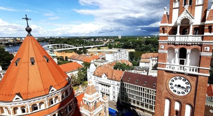 Brutálisan megnyírták ezt a fát a kocsma előtt, így lett pálma a fenyőből