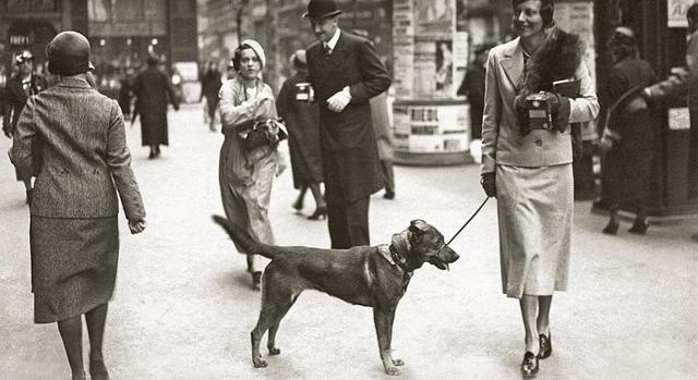 Archív fotográfiákon elevenednek meg a 20. századi magyar arisztokrácia mindennapjai - Interjú a szerzőkkel