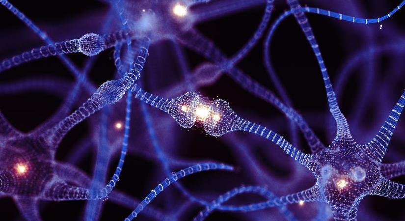 Elképesztő kísérlet: emberi neuronok irányították a népszerű videójátékot