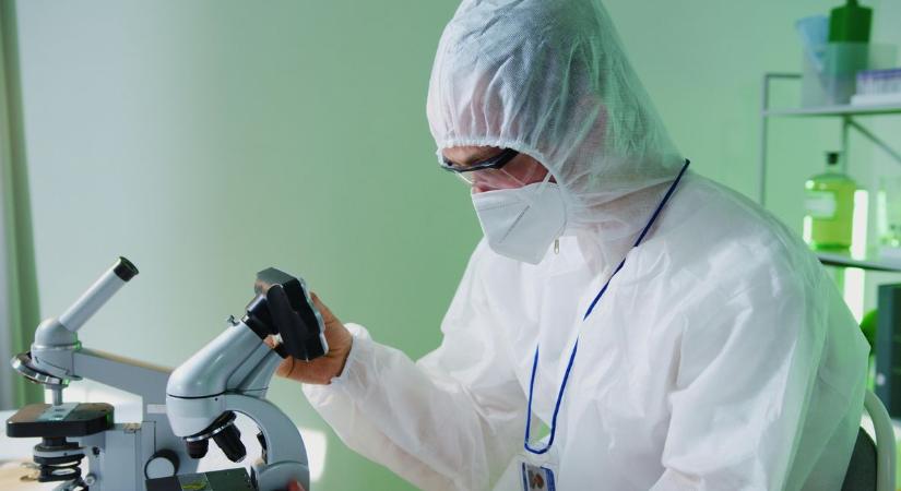 Friss járványhelyzet: trópusi fertőzést hurcoltak be a Távol-Keletről Veszprém vármegyébe!