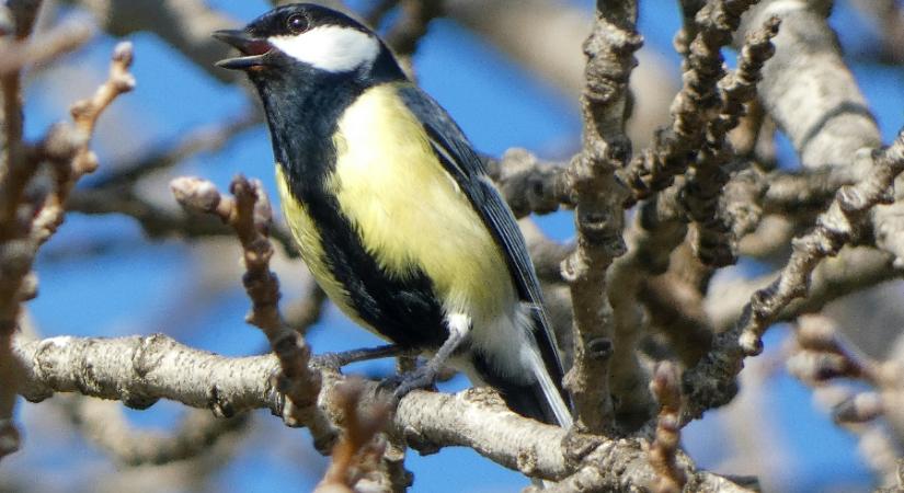 Élvezd ki a hétvégét, mert hétfőre beborul!
