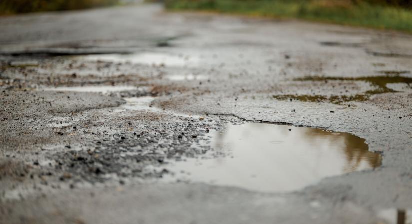 Útfelújítási idénykezdet Északkelet-Magyarországon