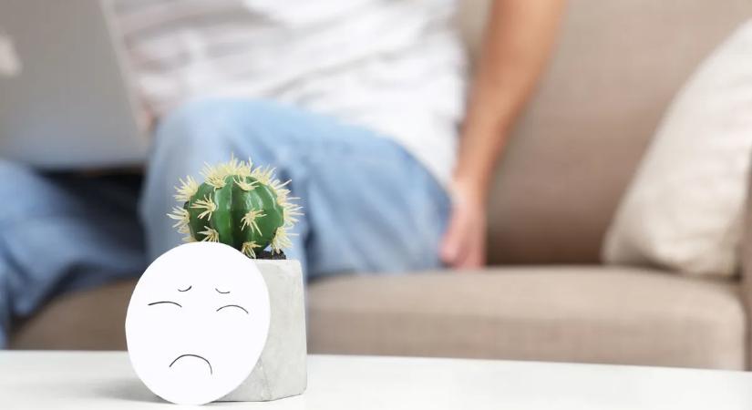 Íme minden, amit tudni akartál az aranyérről, de sosem merted megkérdezni