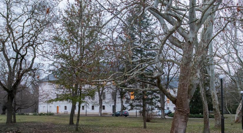 Lejár a büntetése, április végén szabadul a pedofil gyermekotthon-exigazgató, Vásárhelyi János