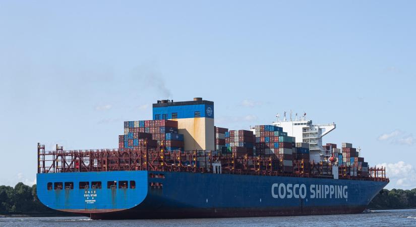 A közel-keleti konfliktus a globális baromfiipar működését is felborítja