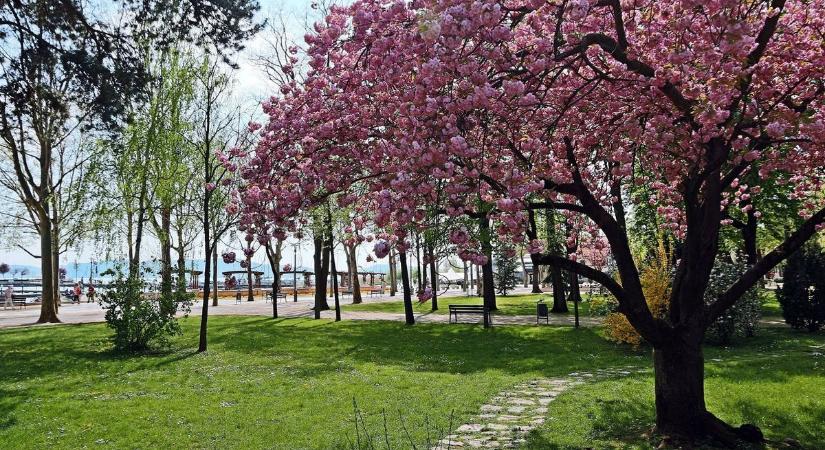 Füredi Tavaszi Fesztivál 2026 – Három nap kultúra, séták és ünnepi programok Balatonfüreden