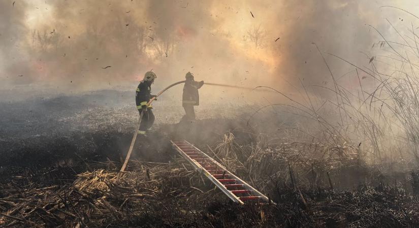 Brutális tűz pusztít Hajdúszoboszlónál, helyszíni felvételek a tomboló tűzfészekről!