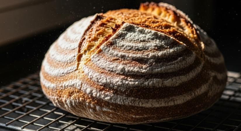 Élesztő vagy kovász?