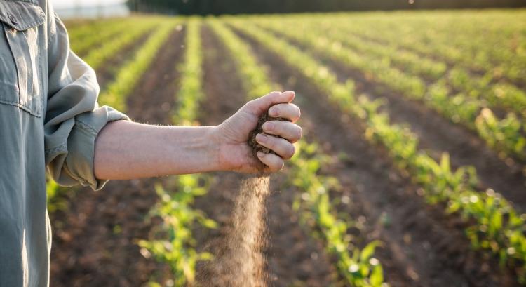 Kettészakadt az ország: az Alföld még mindig szomjazik