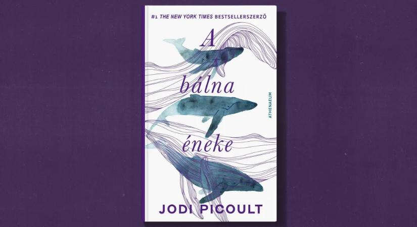 Jodi Picoult hőse a szerelem és az anyaság között őrlődik
