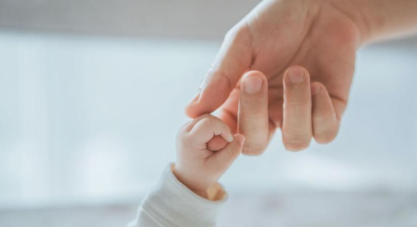 Kiskunhalasi anyakönyvi hírek