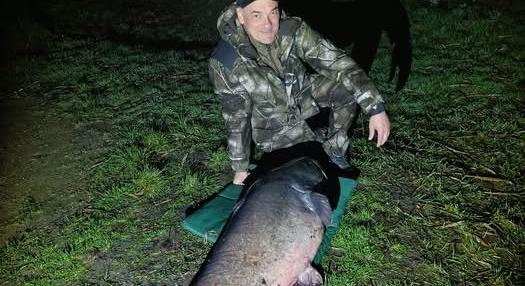 Mit kívánt Borkai Zsolt az óriás harcsától?