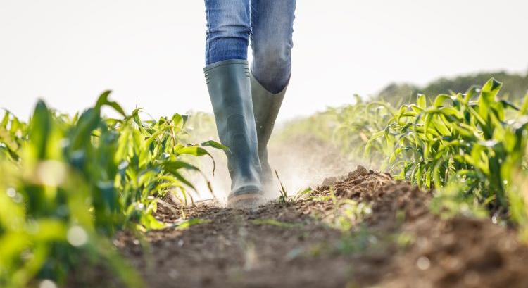 Európa kétszer gyorsabban melegszik, a mezőgazdaság is érzi