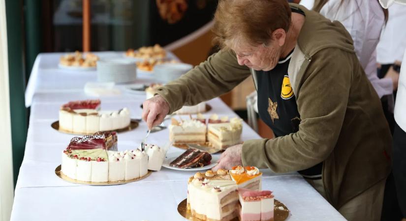 Ez a 10 torta Magyarország legjobb tortája! – Rekord nevezés a Magyarország Tortája versenyén