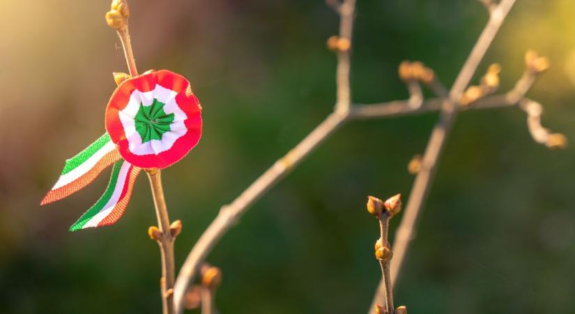 Ünnepi programmal emlékeznek Pécsen az 1848–49-es forradalomra