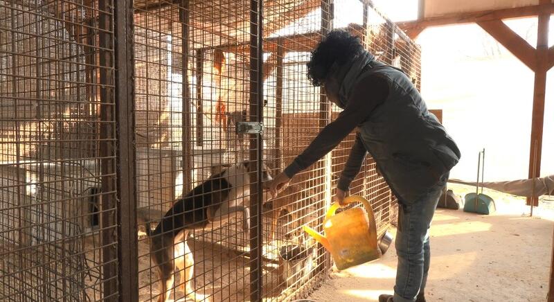 Ilyen az állatmentők mindennapja