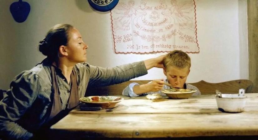 Majdnem folytatás is készült az Indul a bakterházhoz: ezeket biztosan nem tudtad a magyarok kedvenc filmjéről