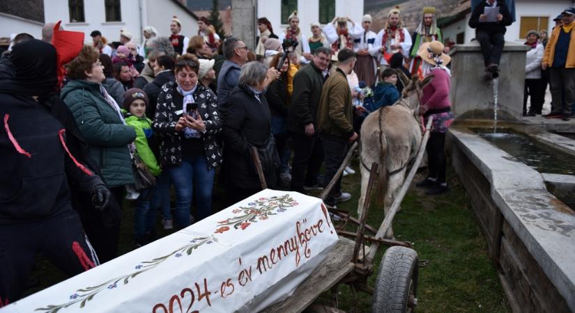 Drámai esemény a torockói farsangon: meghalt a szamár – fiatalok húzták a koporsót