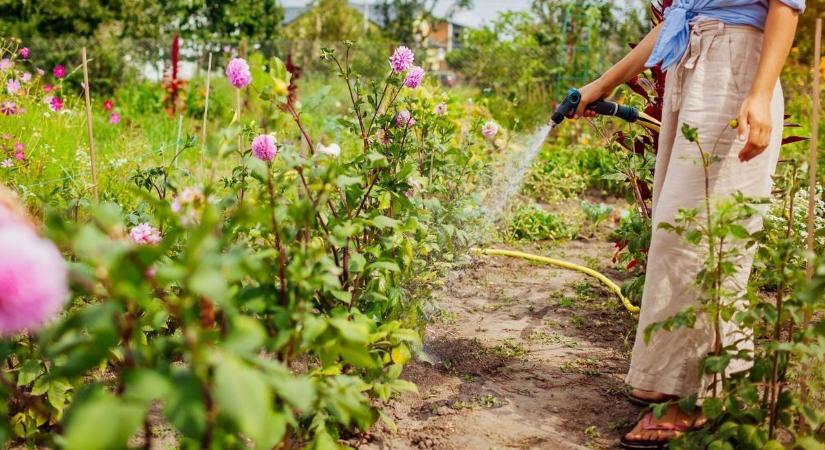 Sokan tesznek rá, pedig világos a szabály: brutális büntetés járhat ezért a kerti munkáért
