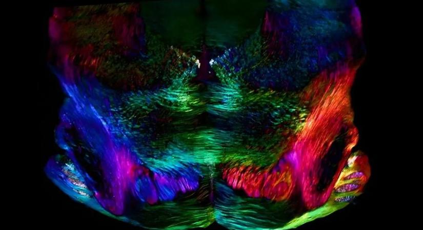 Csak tíz másodpercig tart, mégis felforgathatja a világot ez a furcsa film